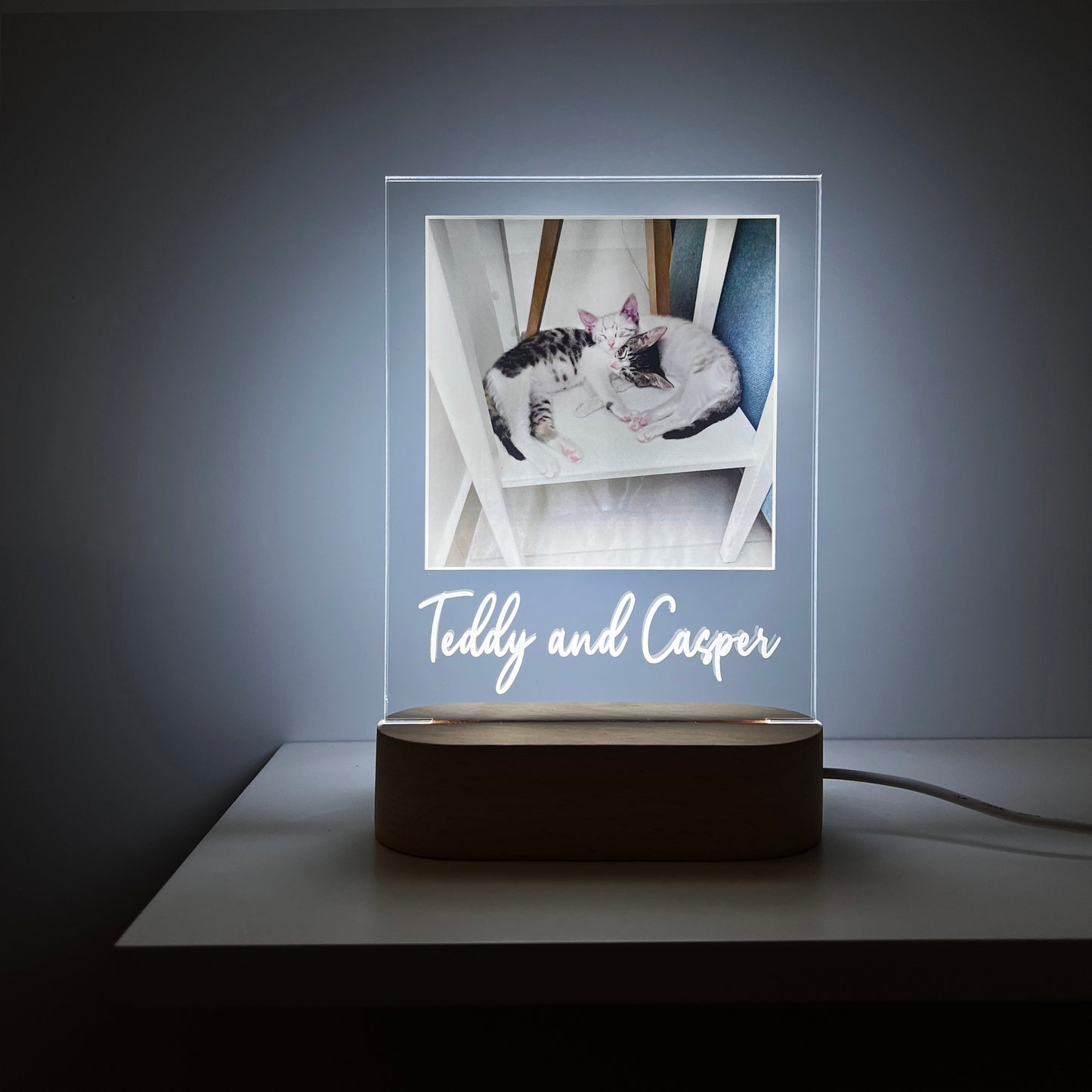 Pet Lamp Memorial