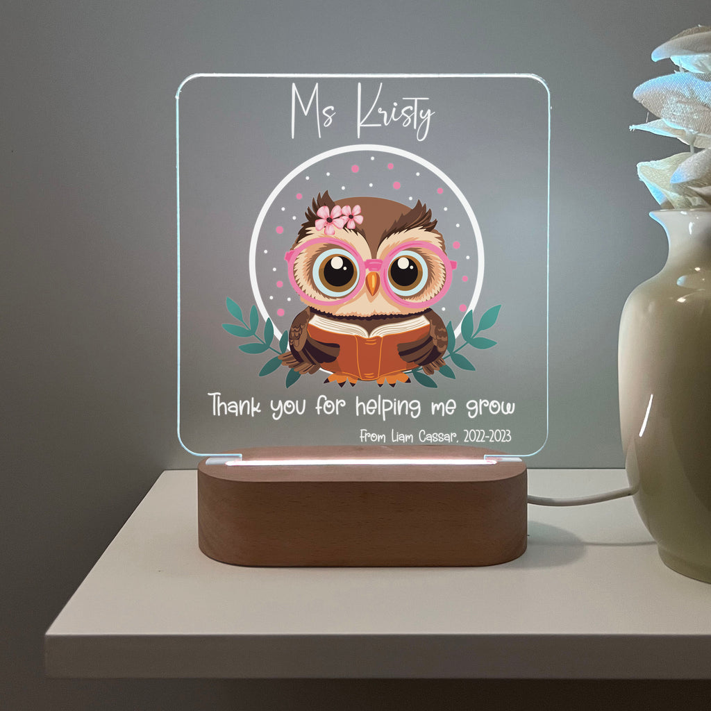 Teacher Night Lamp - Owl