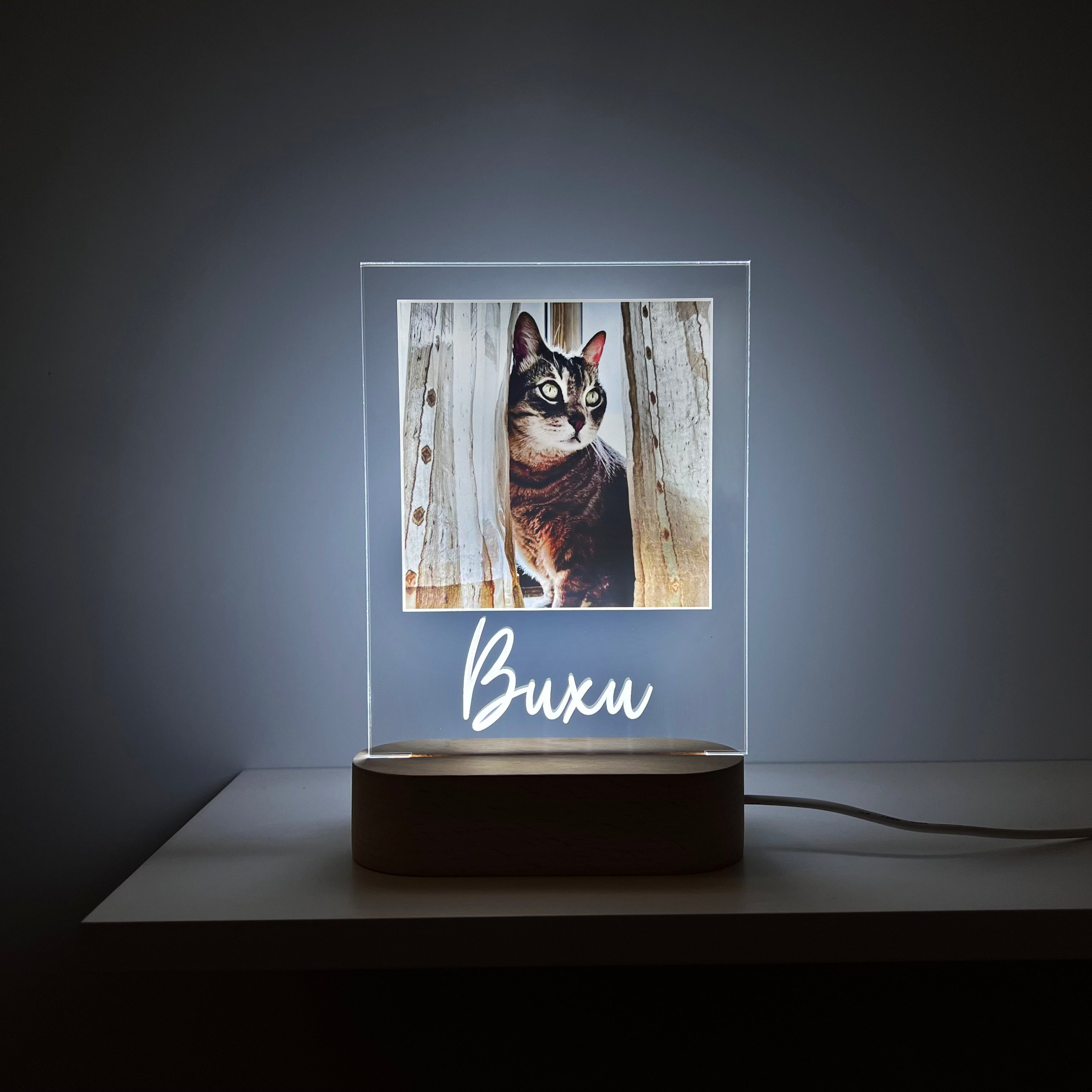 Pet Lamp Memorial